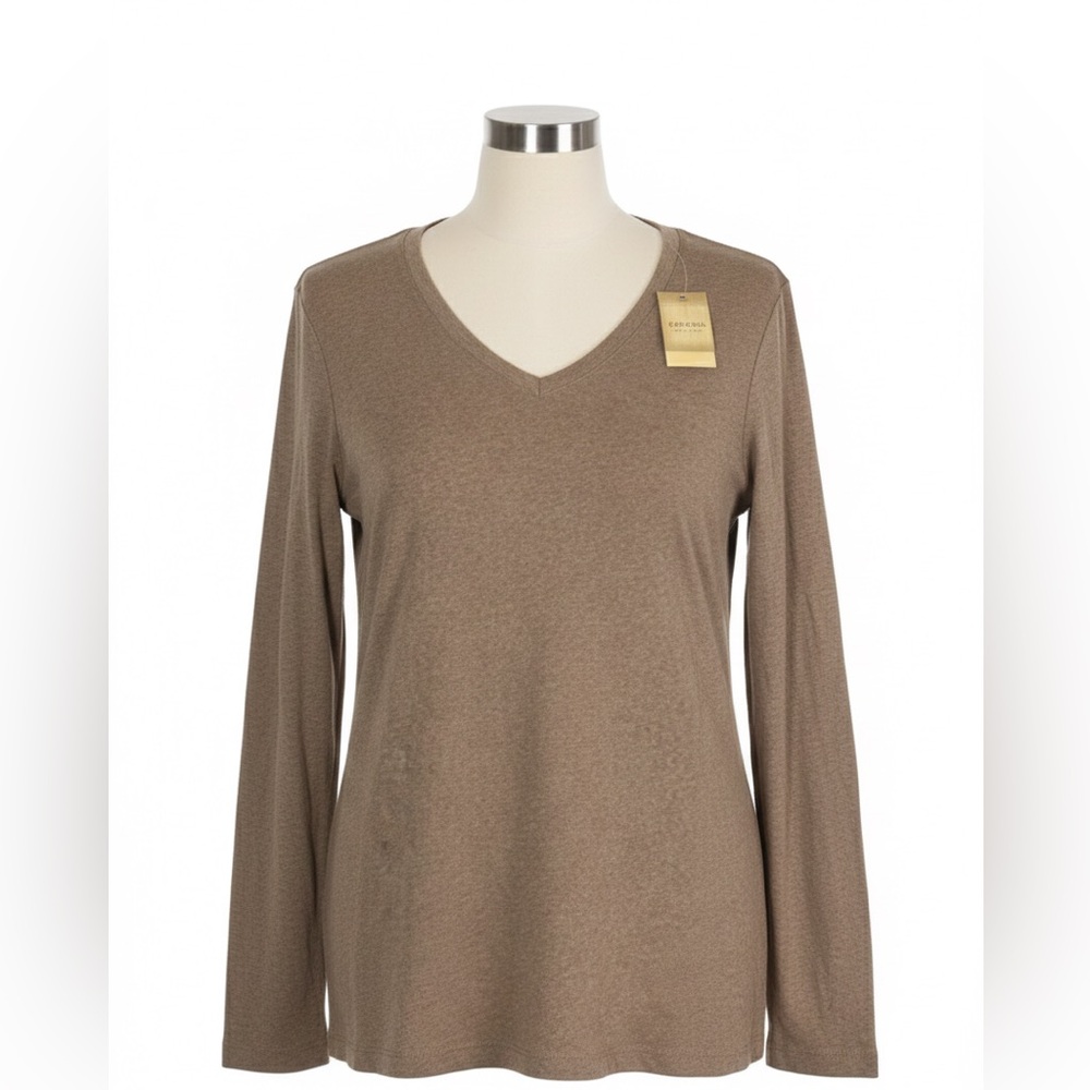 Classic Tan Long Sleeve V-Neck Top